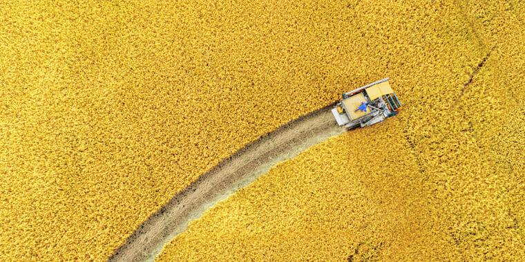 Topsoe history 1950s