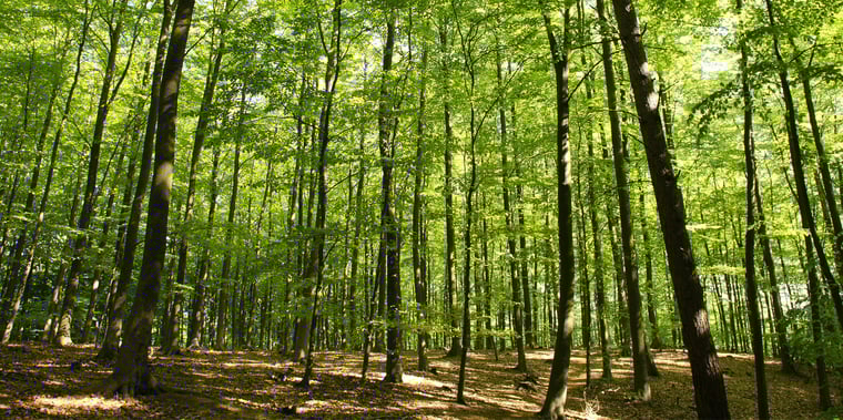 Topsoe history 1980s