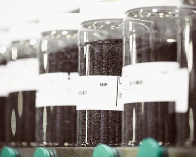 Catalyst theory learn more