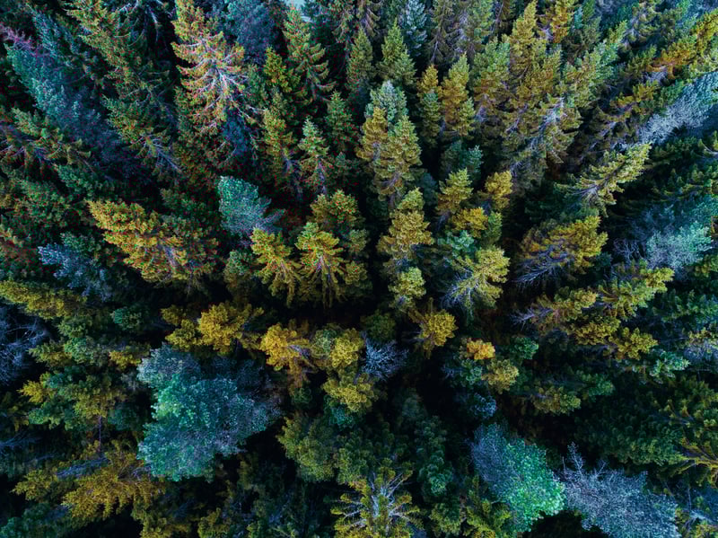 Hybrid securities 2024