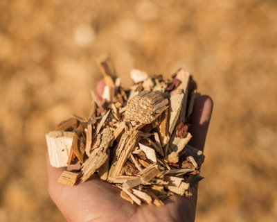 renewable feedstock for co-processing