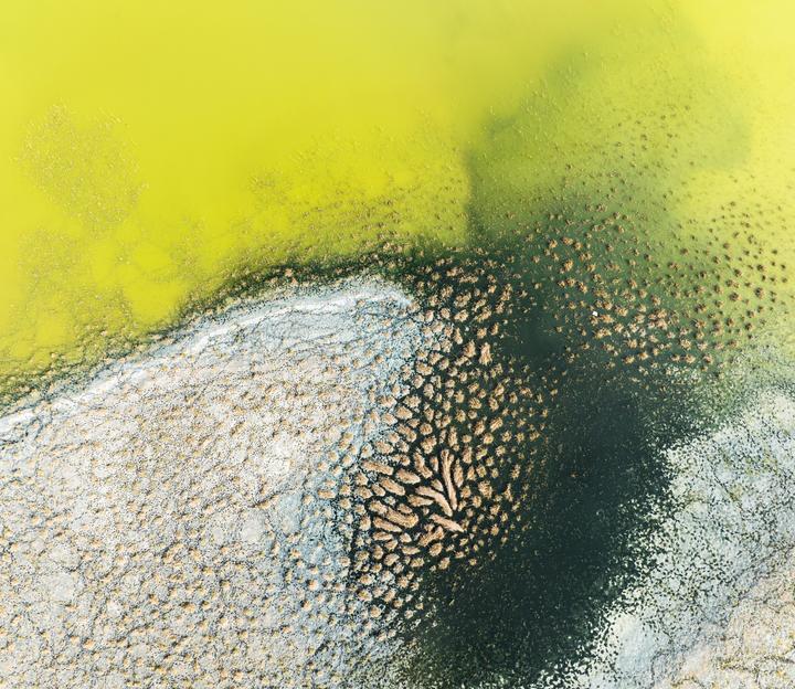 sulfuric acid industry