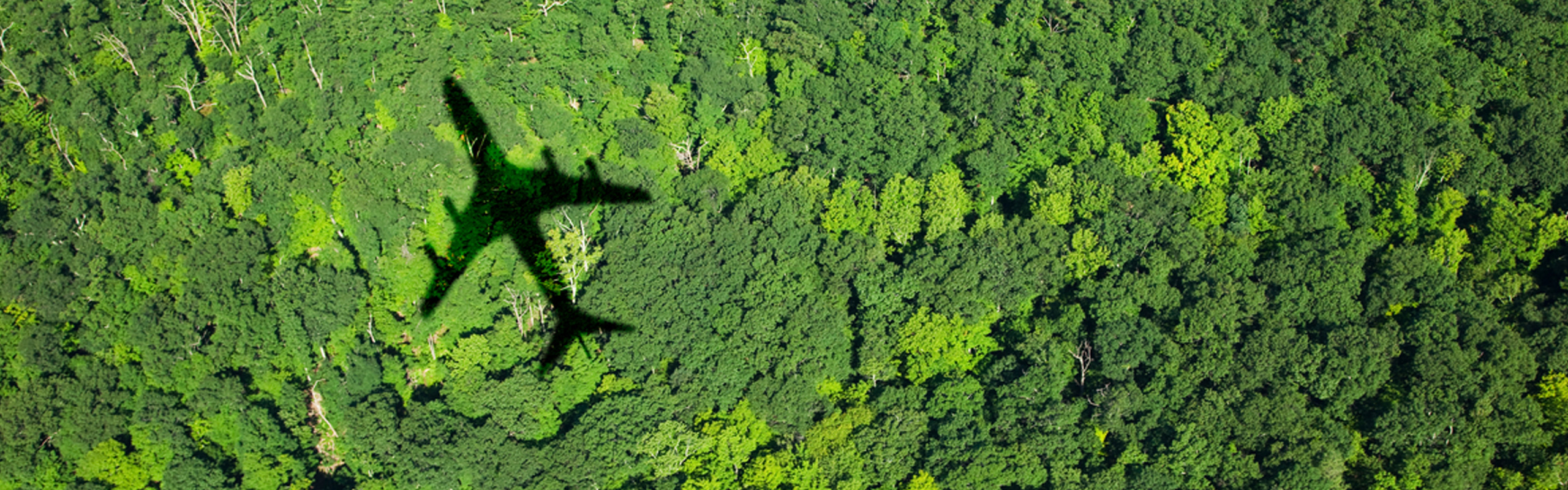 Annual Report 2022: Topsoe delivers strong revenue growth in challenging environment featured image