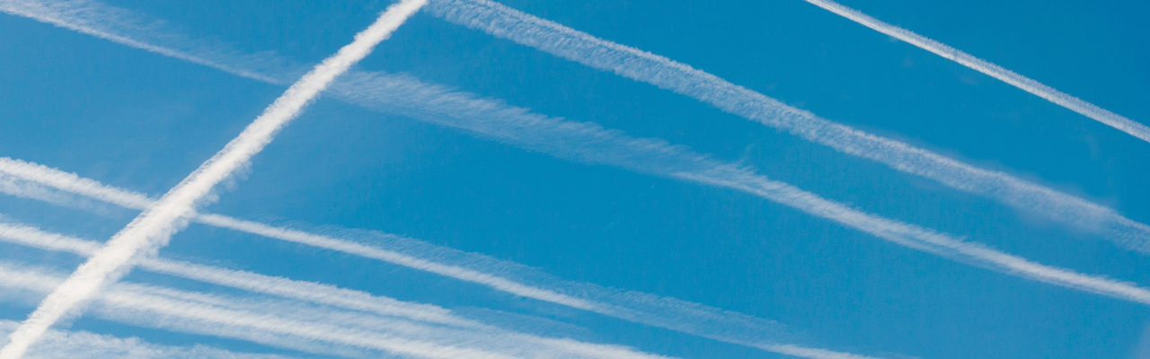 Biofuels Trends A 2024 Outlook