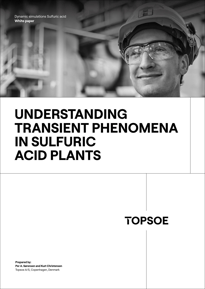 Dynamic simulations Sulfuric acid Image